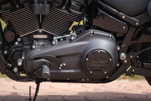 50 Harley Davidson Low Rider ST motor 117